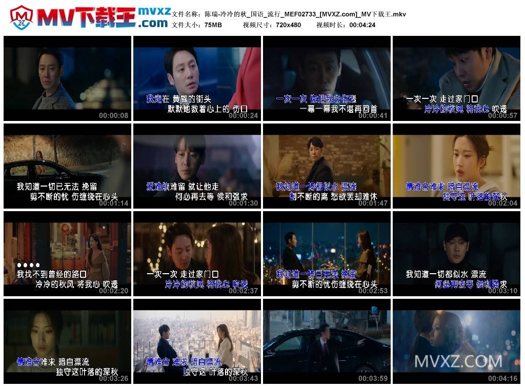 陈瑞-冷冷的秋_国语_流行_MEF02733